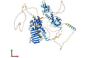 AlphaFold protein structure predicition of Human Recombinant PMS2 Protein, UniprotID P54278