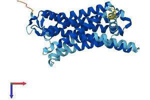 Olfactory Receptor, Family 51, Subfamily B, Member 5 (OR51B5) (AA 1-312) protein (His tag)