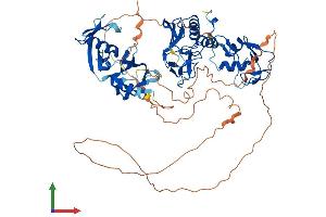 AlphaFold protein structure predicition of Human Recombinant DTX2 Protein, UniprotID Q86UW9 (DTX2 Protein (AA 1-622) (His tag))