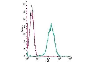 Cell surface detection of C5aR2 by indirect flow cytometry in live intact mouse J774 macrophage cell line: (black line) Cells. (GPR77 antibody  (Extracellular))