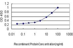 Detection limit for recombinant GST tagged RFC4 is approximately 0. (RFC4 antibody  (AA 254-363))