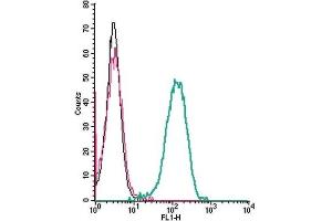 Cell surface detection of C5aR2 by indirect flow cytometry in live intact human THP-1 monocytic leukemia cells: (black line) Cells. (GPR77 antibody  (Extracellular, N-Term))