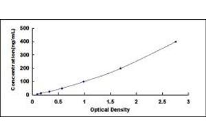 Typical standard curve (Vitronectin ELISA Kit)