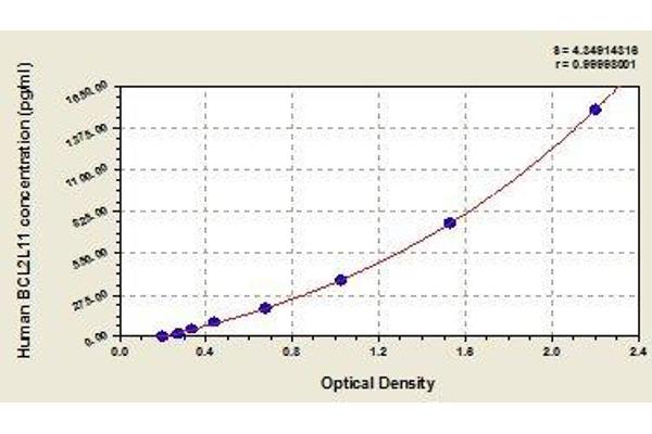 BIM ELISA Kit