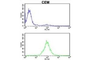 Flow Cytometry (FACS) image for anti-Karyopherin (Importin) beta 1 (KPNB1) antibody (ABIN3002817) (KPNB1 antibody)
