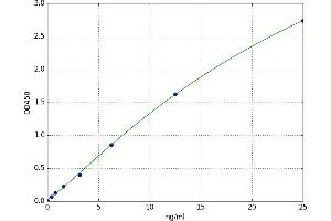 Aryl Hydrocarbon Receptor (AHR) ELISA Kit