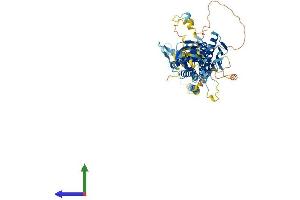 AlphaFold protein structure predicition of Human Recombinant MED17 Protein, UniprotID Q9NVC6 (MED17 Protein (AA 1-651) (His tag))