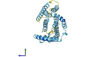 AlphaFold protein structure predicition of Human Recombinant SLC9B1P1 Protein, UniprotID A6NJY1 (SLC9B1P1 Protein (AA 1-282) (His tag))