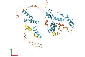 AlphaFold protein structure predicition of Human Recombinant ZSCAN23 Protein, UniprotID Q3MJ62