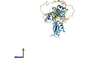 AlphaFold protein structure predicition of Human Recombinant NOVA2 Protein, UniprotID Q9UNW9 (NOVA2 Protein (AA 1-492) (His tag))