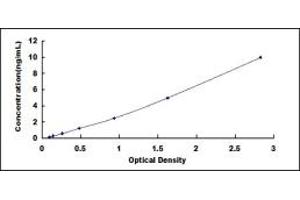 Typical standard curve (JTB ELISA Kit)