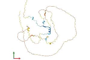 AlphaFold protein structure predicition of Human Recombinant CDC42EP4 Protein, UniprotID Q9H3Q1 (CDC42EP4 Protein (AA 1-356) (His tag))