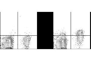 Human peripheral blood lymphocytes were stained with APC Anti-Human CD19 (ABIN6961702) and 5 μL(0. (CD200 antibody  (PerCP-Cy5.5))