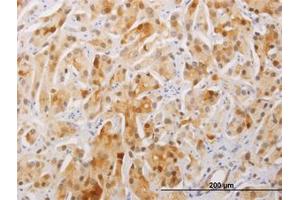 Image no. 1 for anti-Family with Sequence Similarity 84, Member A (FAM84A) (AA 1-293) antibody (ABIN466272) (FAM84A antibody  (AA 1-293))