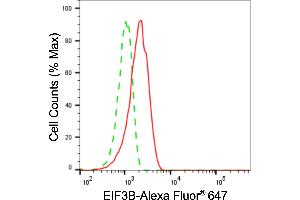 anti-Eukaryotic Translation Initiation Factor 3, Subunit B (EIF3B) antibody