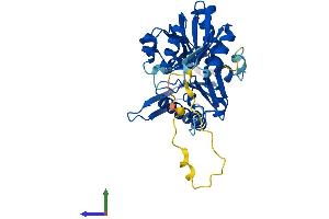 Protein Structure (PS) image for phosphoribosyl Pyrophosphate Synthetase-Associated Protein 1 (PRPSAP1) (AA 1-356) protein (His tag) (ABIN7560841)
