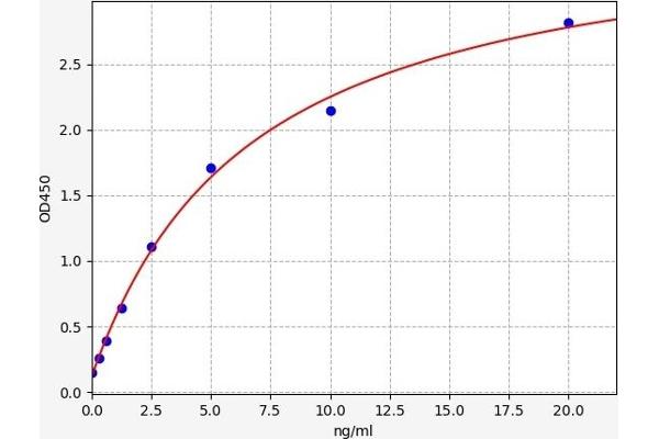 Phospholamban ELISA Kit