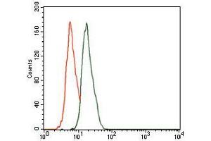 Flow cytometric analysis of HeLa cells using CBX8 mouse mAb (green) and negative control (red). (CBX8 antibody  (AA 17-222))
