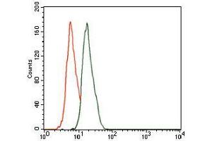 Flow cytometric analysis of HeLa cells using CBX8 mouse mAb (green) and negative control (red). (CBX8 antibody  (AA 17-222))