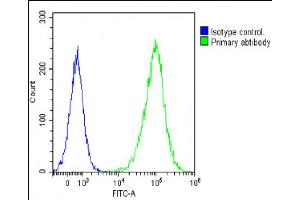 Overlay histogram showing Jurkat cells stained with (ABIN655597 and ABIN2845082)(green line). (ADA antibody  (C-Term))