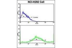 Flow Cytometric analysis of NCI-H292 cells using AP17730PU-N SAR1A Antibody (Center)(bottom histogram) compared to a negative control cell (top histogram). (SAR1A antibody  (Middle Region))