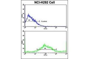 Flow Cytometric analysis of NCI-H292 cells using AP17730PU-N SAR1A Antibody (Center)(bottom histogram) compared to a negative control cell (top histogram). (SAR1A antibody  (Middle Region))