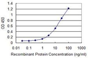 Detection limit for recombinant GST tagged PLSCR3 is 0. (PLSCR3 antibody  (AA 74-165))