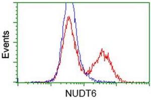 Flow Cytometry (FACS) image for anti-Nudix (Nucleoside Diphosphate Linked Moiety X)-Type Motif 6 (NUDT6) antibody (ABIN1499868)