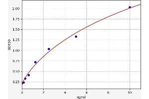 Typical standard curve (Claudin 5 ELISA Kit)