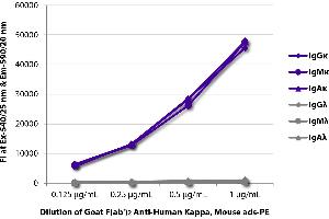 FLISA plate was coated with purified human IgGκ, IgMκ, IgAκ, IgGλ, IgMλ, and IgAλ. (Goat anti-Human Immunoglobulin kappa Chain Complex (Igk) (Chain kappa) Antibody (Biotin) - Preadsorbed)