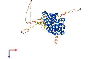 AlphaFold protein structure predicition of Human Recombinant AURKA Protein, UniprotID O14965 (Aurora A Protein (AA 1-403) (His tag))