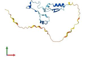 AlphaFold protein structure predicition of Mouse Recombinant Cfap126 Protein, UniprotID Q6P8X9 (CFAP126 Protein (AA 1-189) (His tag))