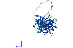AlphaFold protein structure predicition of Human Recombinant SNRPB2 Protein, UniprotID P08579 (SNRPB2 Protein (AA 1-225) (His tag))