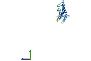 AlphaFold protein structure predicition of Human Recombinant MIS12 Protein, UniprotID Q9H081 (MIS12 Protein (AA 1-205) (His tag))