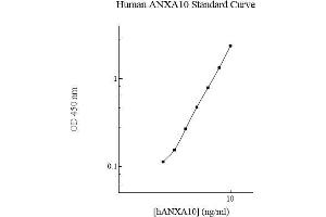 Image no. 1 for Annexin A10 (ANXA10) ELISA Kit (ABIN5564554) (Annexin a10 ELISA Kit)