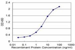 Detection limit for recombinant GST tagged CSNK1G2 is approximately 0. (Casein Kinase 1 gamma 2 antibody  (AA 315-415))