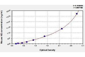 Typical standard curve (ELANE ELISA Kit)