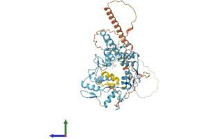 Protein Structure (PS) image for Zinc Finger Protein 765 (ZNF765) (AA 1-523) protein (His tag) (ABIN7545398)