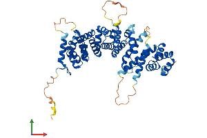 Protein Structure (PS) image for serum Amyloid A-Like 1 (SAAL1) (AA 1-474) protein (His tag) (ABIN7560906)