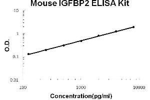 Mouse IGFBP2 PicoKine ELISA Kit standard curve (IGFBP2 ELISA Kit)