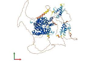 Protein Structure (PS) image for RecQ Protein-Like 5 (RECQL5) (AA 1-991) protein (His tag) (ABIN7555199)