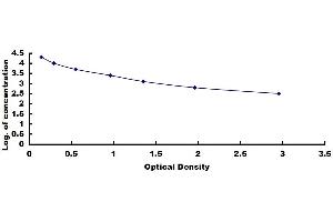 Complement Component 5a Receptor 1 (C5AR1) ELISA Kit