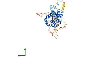 AlphaFold protein structure predicition of Human Recombinant CCNYL1 Protein, UniprotID Q8N7R7 (CCNYL1 Protein (AA 1-359) (His tag))