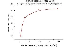 Immobilized Biotinylated Human Nectin-4, His,Avitag (ABIN6938938,ABIN6950980) at 1 μg/mL (100 μL/well) on Streptavidin  precoated (0. (PVRL1 Protein (AA 31-334) (Fc Tag))