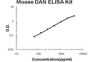 NBL1 ELISA Kit