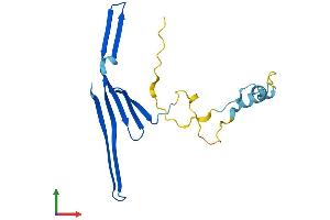 AlphaFold protein structure predicition of Mouse Recombinant Tcap Protein, UniprotID O70548 (TCAP Protein (AA 1-167) (His tag))
