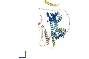 AlphaFold protein structure predicition of Mouse Recombinant Kcnd3 Protein, UniprotID Q9Z0V1 (KCND3 Protein (AA 1-655) (His tag))