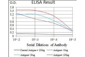 Black line: Control Antigen (100 ng), Purple line: Antigen(10 ng), Blue line: Antigen (50 ng), Red line: Antigen (100 ng), (ABCG5 antibody  (AA 306-367))