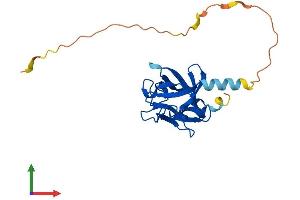 Protein Structure (PS) image for Fibroblast Growth Factor 20 (FGF20) (AA 1-211) protein (His tag) (ABIN7561474)