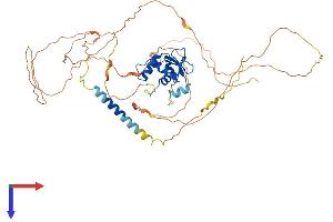 ETV5 Protein (AA 1-510) (His tag)